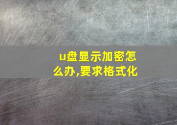 u盘显示加密怎么办,要求格式化