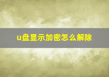 u盘显示加密怎么解除