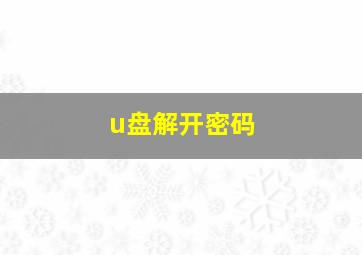 u盘解开密码