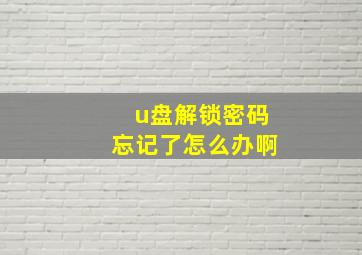 u盘解锁密码忘记了怎么办啊