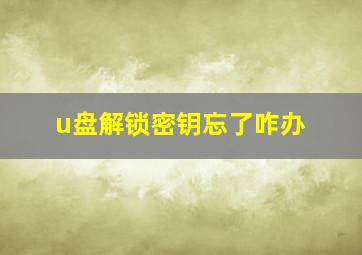 u盘解锁密钥忘了咋办