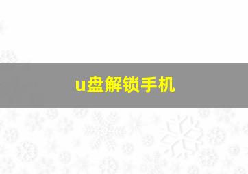 u盘解锁手机