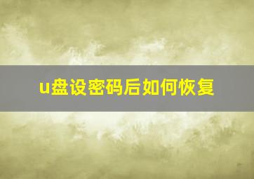 u盘设密码后如何恢复