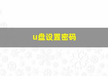 u盘设置密码