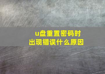 u盘重置密码时出现错误什么原因