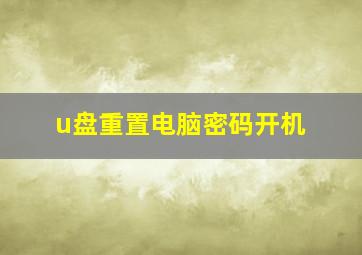 u盘重置电脑密码开机