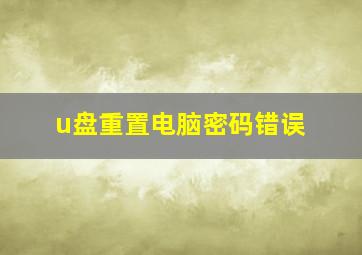 u盘重置电脑密码错误