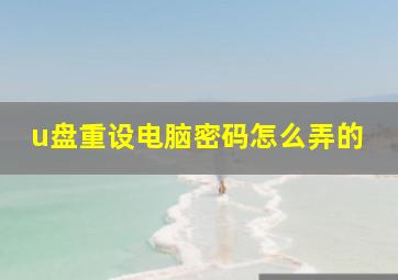 u盘重设电脑密码怎么弄的