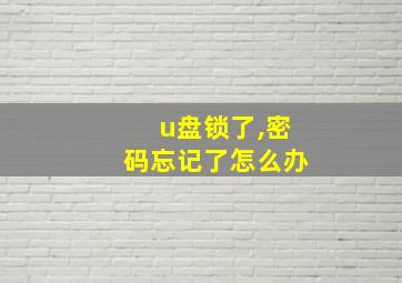 u盘锁了,密码忘记了怎么办