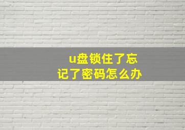 u盘锁住了忘记了密码怎么办