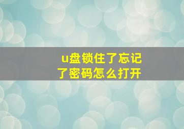 u盘锁住了忘记了密码怎么打开