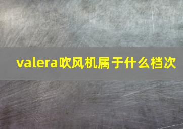 valera吹风机属于什么档次