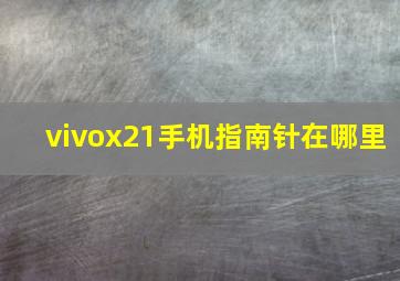 vivox21手机指南针在哪里