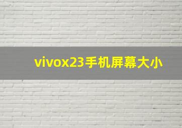 vivox23手机屏幕大小