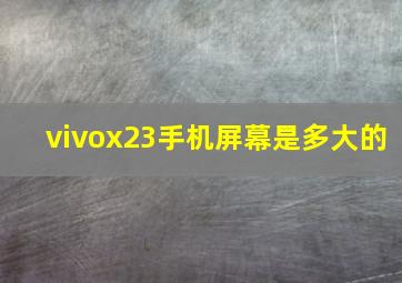 vivox23手机屏幕是多大的