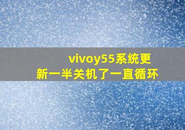 vivoy55系统更新一半关机了一直循环