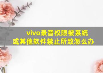 vivo录音权限被系统或其他软件禁止所致怎么办