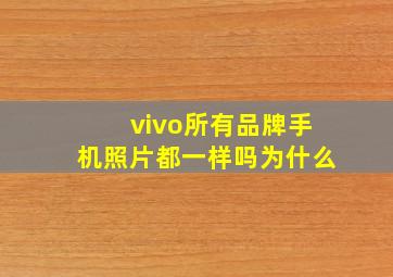 vivo所有品牌手机照片都一样吗为什么