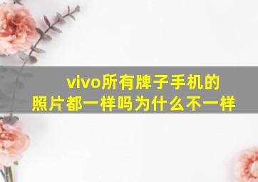 vivo所有牌子手机的照片都一样吗为什么不一样