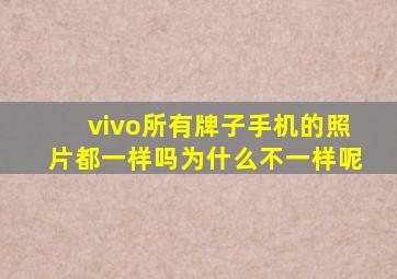 vivo所有牌子手机的照片都一样吗为什么不一样呢