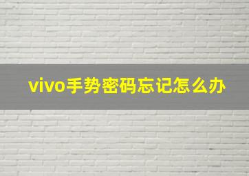 vivo手势密码忘记怎么办