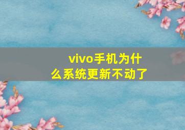 vivo手机为什么系统更新不动了