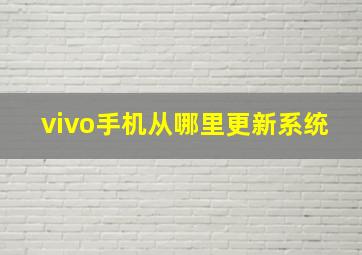 vivo手机从哪里更新系统