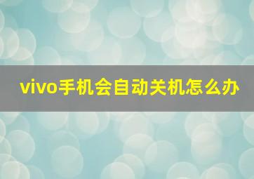 vivo手机会自动关机怎么办