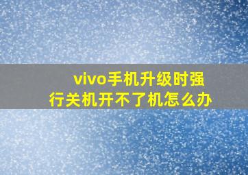 vivo手机升级时强行关机开不了机怎么办