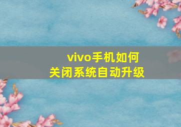 vivo手机如何关闭系统自动升级