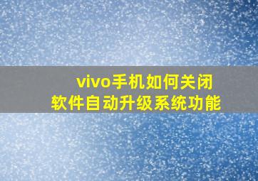 vivo手机如何关闭软件自动升级系统功能