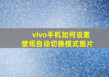 vivo手机如何设置壁纸自动切换模式图片