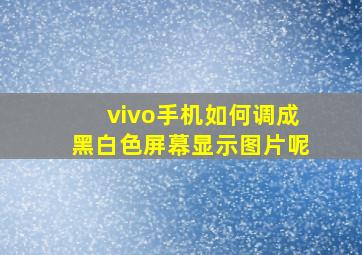 vivo手机如何调成黑白色屏幕显示图片呢