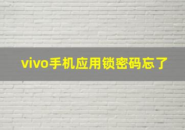 vivo手机应用锁密码忘了