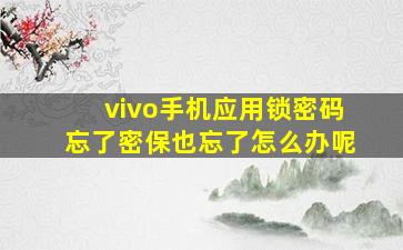 vivo手机应用锁密码忘了密保也忘了怎么办呢