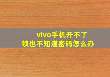 vivo手机开不了锁也不知道密码怎么办