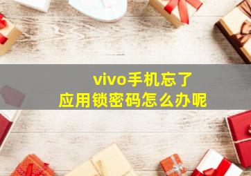 vivo手机忘了应用锁密码怎么办呢