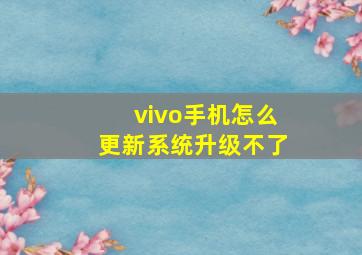 vivo手机怎么更新系统升级不了