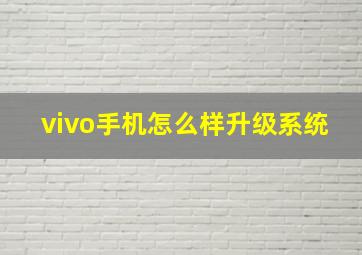 vivo手机怎么样升级系统