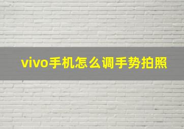 vivo手机怎么调手势拍照