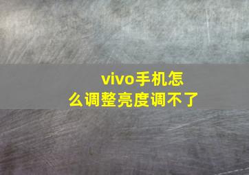 vivo手机怎么调整亮度调不了