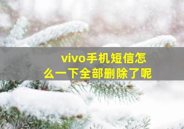 vivo手机短信怎么一下全部删除了呢