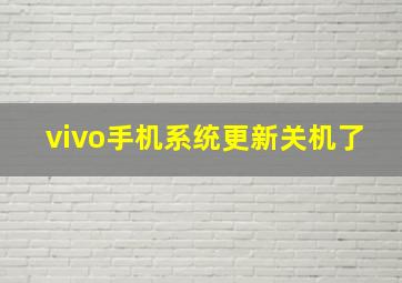 vivo手机系统更新关机了