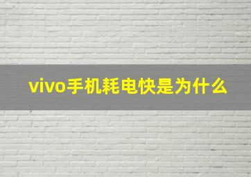 vivo手机耗电快是为什么