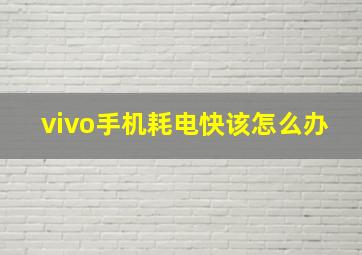 vivo手机耗电快该怎么办