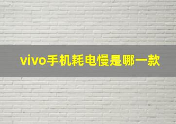 vivo手机耗电慢是哪一款