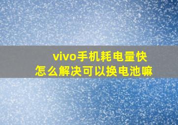 vivo手机耗电量快怎么解决可以换电池嘛