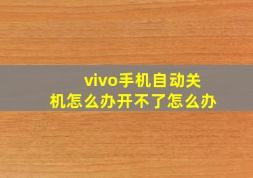 vivo手机自动关机怎么办开不了怎么办