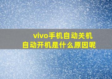 vivo手机自动关机自动开机是什么原因呢