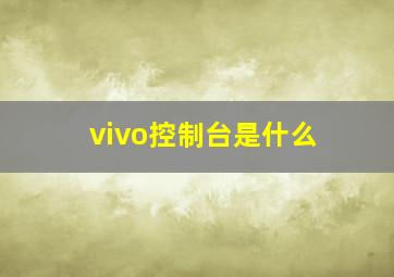 vivo控制台是什么